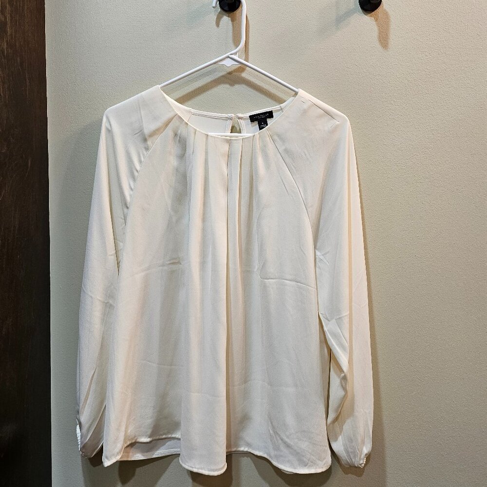 BNWOT - Ann Taylor Dressy long sleeve top